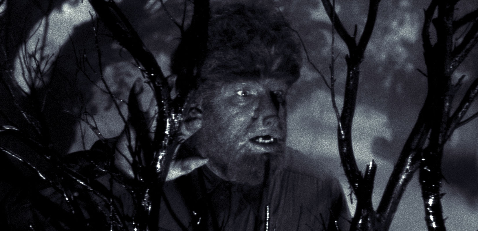 Universal Classic Monsters - The Wolf Man - Lon Chaney Jr.