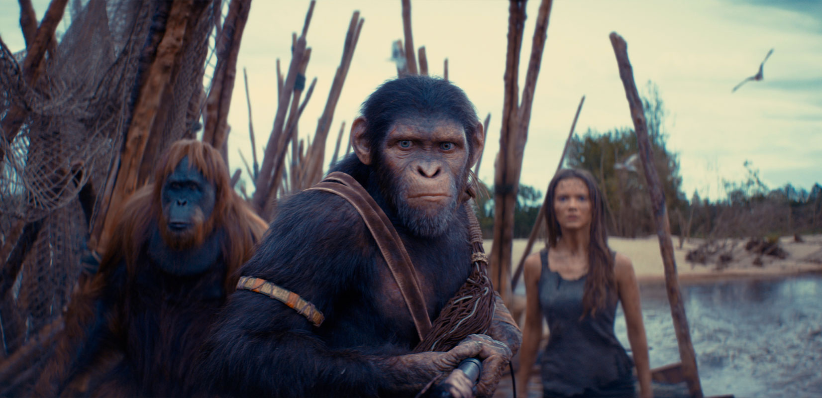 (L-R): Raka (played by Peter Macon), Noa (played by Owen Teague) , and Freya Allan as Nova in 20th Century Studios' Kingdom of the Planet of the Apes