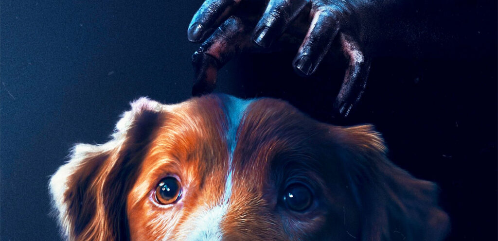 Good Boy